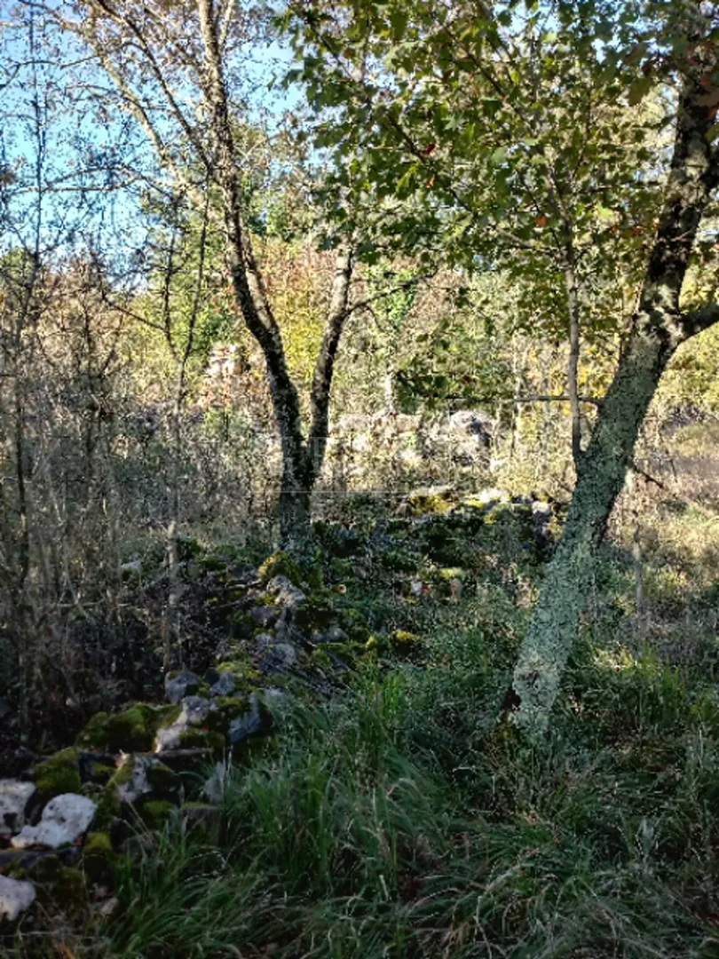 ruševina i veliko poljoprivredno zemljište, poreč okolica - slika 4