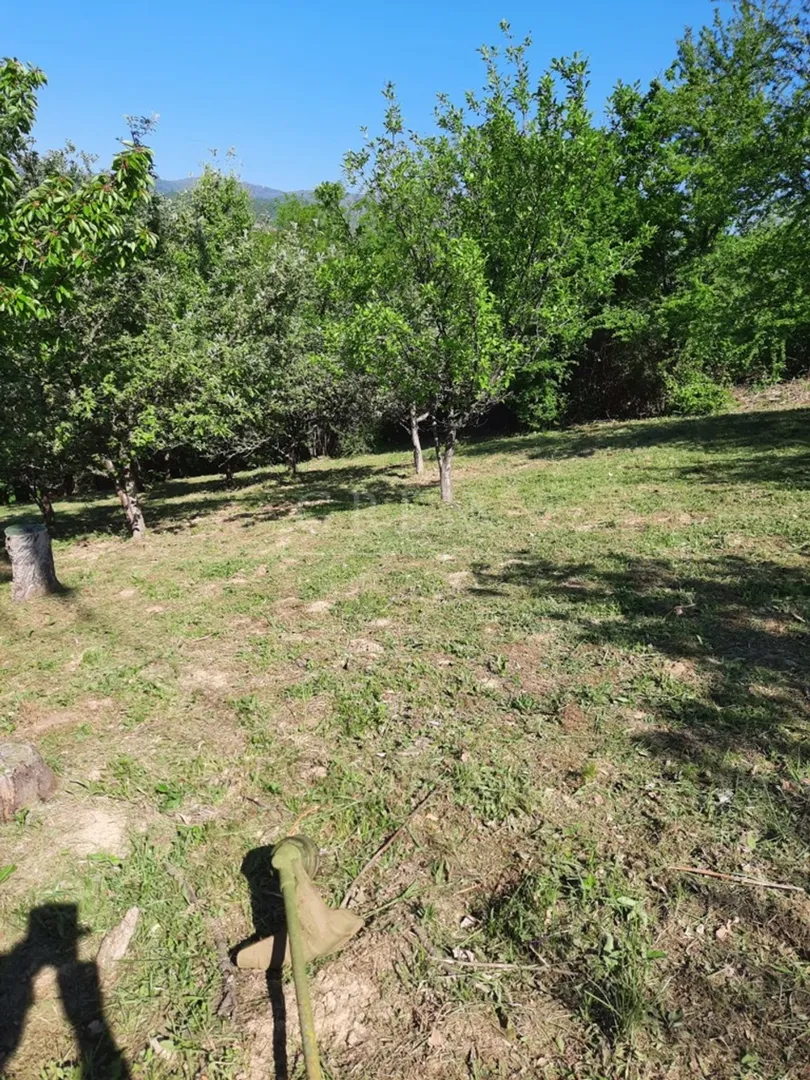 kuća gornja dubrava zagreb, 270 m2+5400 m2 parcela - slika 6