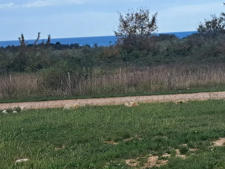 poreč-zemljište za gradnju mini hotela - slika 6
