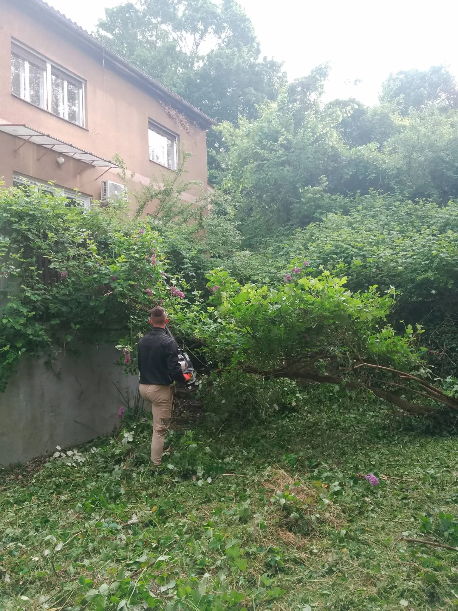 🌿 trebaš uredan i njegovan vrt bez muke? 🌿 - slika 4
