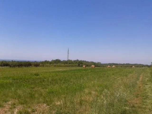 poljoprivredno zemljište za sadnju maslina - slika 3