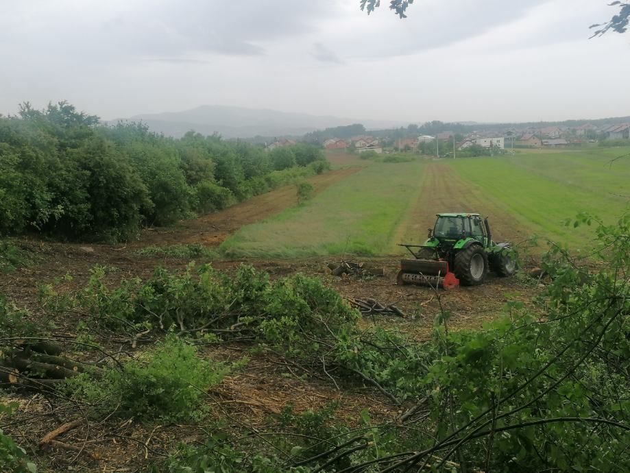 rušenje drveća 095/333-4444 - slika 2