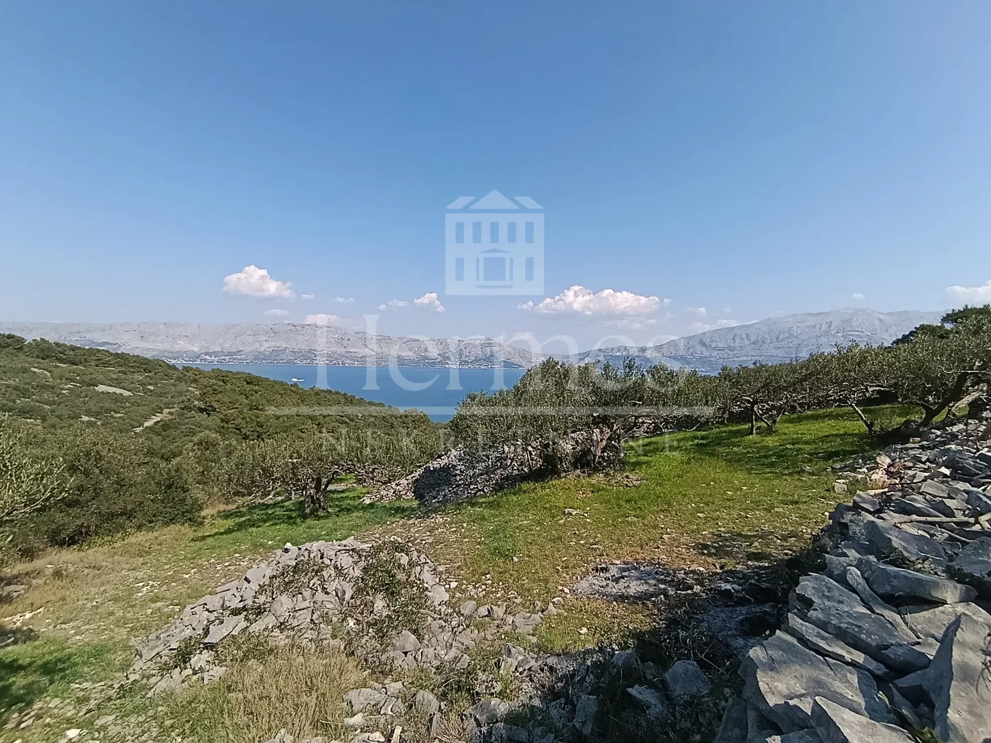 maslinik, otok brač, povlja - slika 15