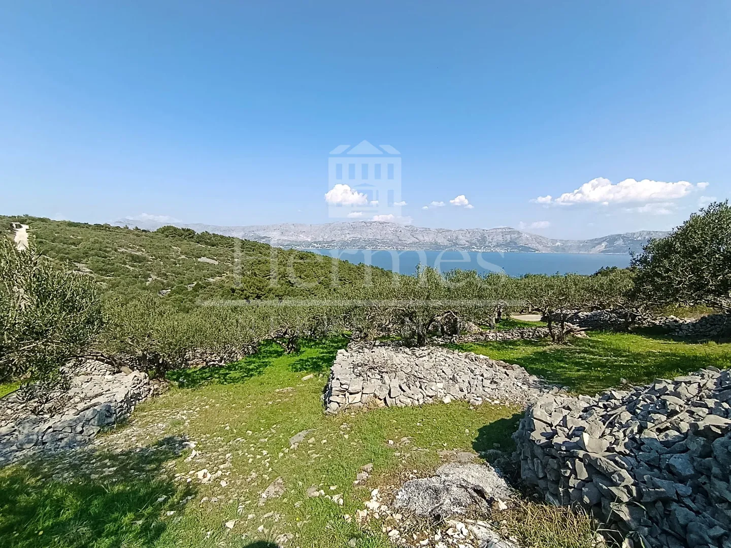 maslinik, otok brač, povlja - slika 7