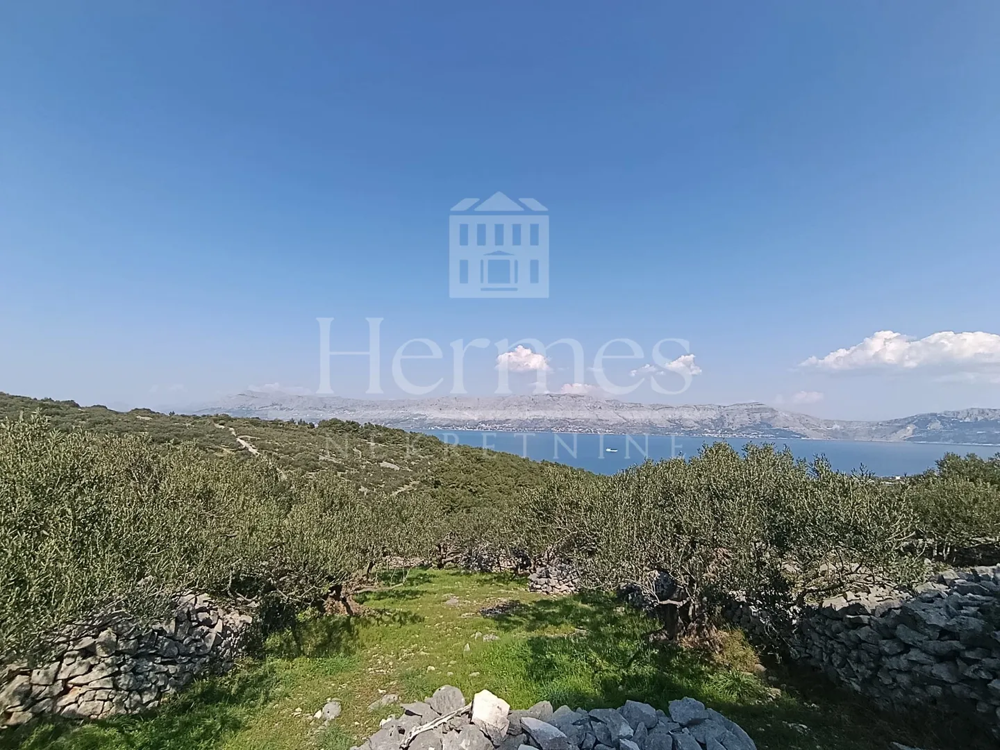 maslinik, otok brač, povlja - slika 8
