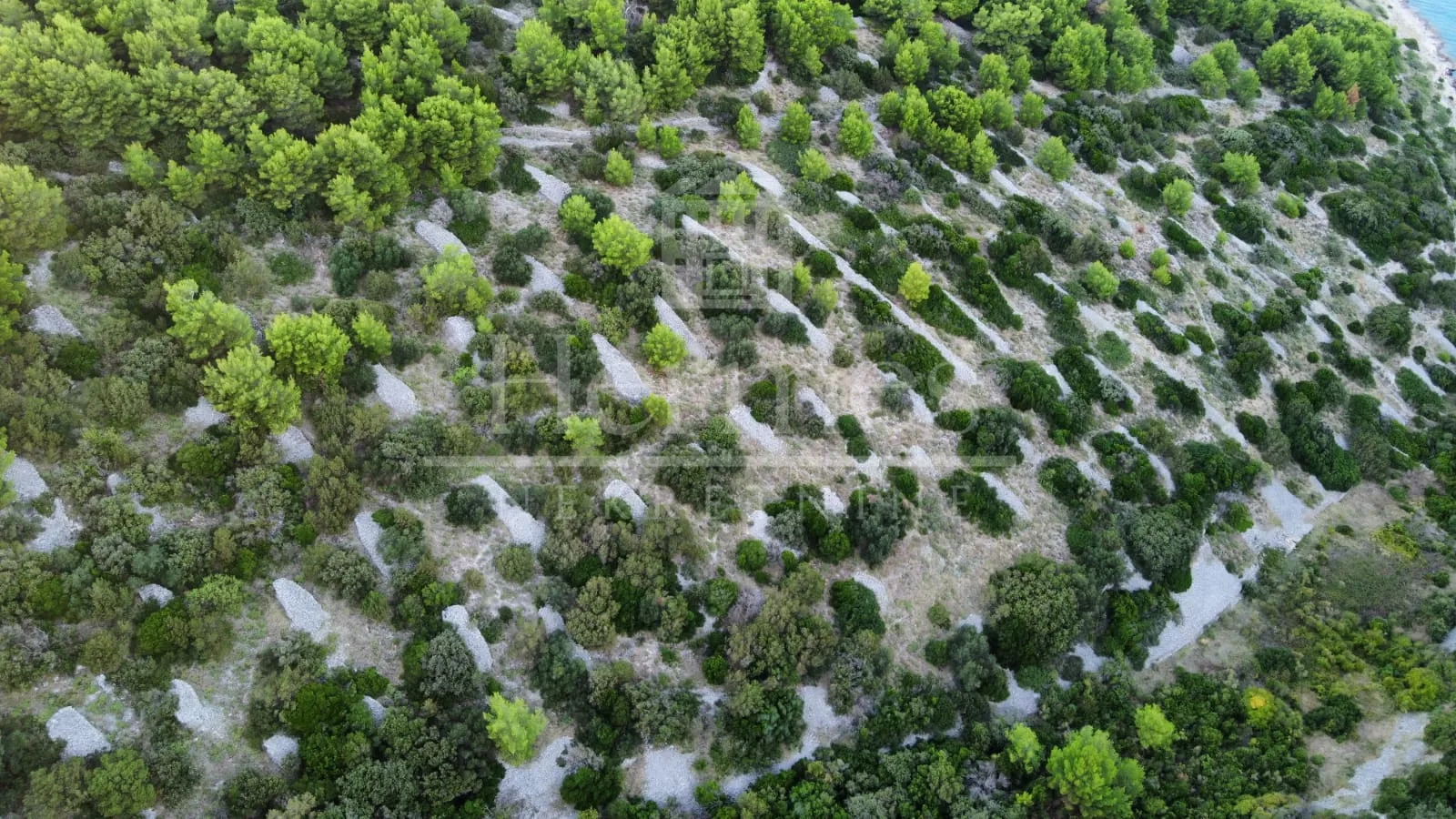 zemljište uz more (14 174 m2), povlja, otok brač - slika 6