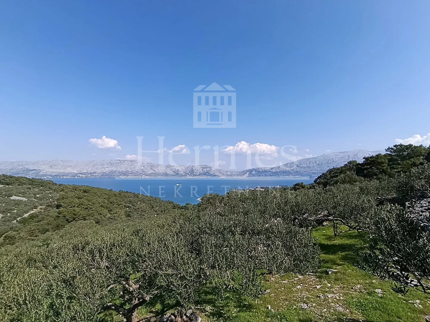 maslinik, otok brač, povlja - slika 17