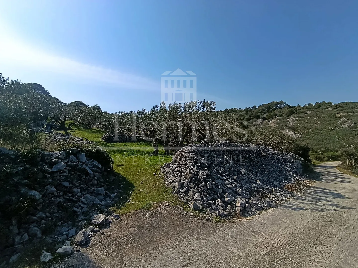 maslinik, otok brač, povlja - slika 16