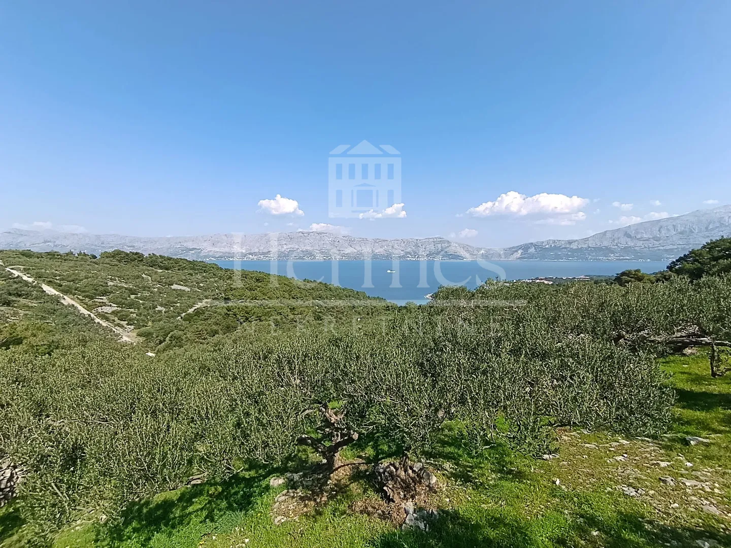 maslinik, otok brač, povlja - slika 14