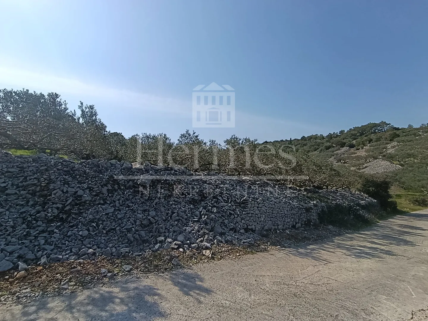 maslinik, otok brač, povlja - slika 4