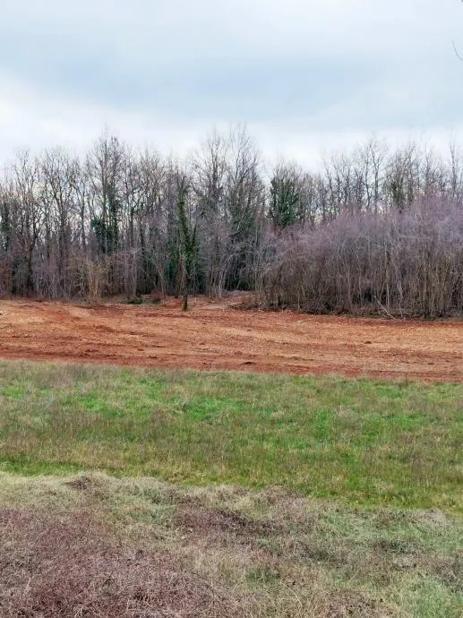 istra, barban, prodaja poljoprivrednog zemljišta 11700 m2 - slika 12