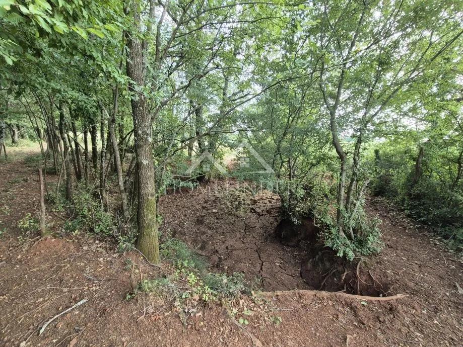 prostrano poljoprivredno zemljište, kaštelir, 24118m² - slika 8