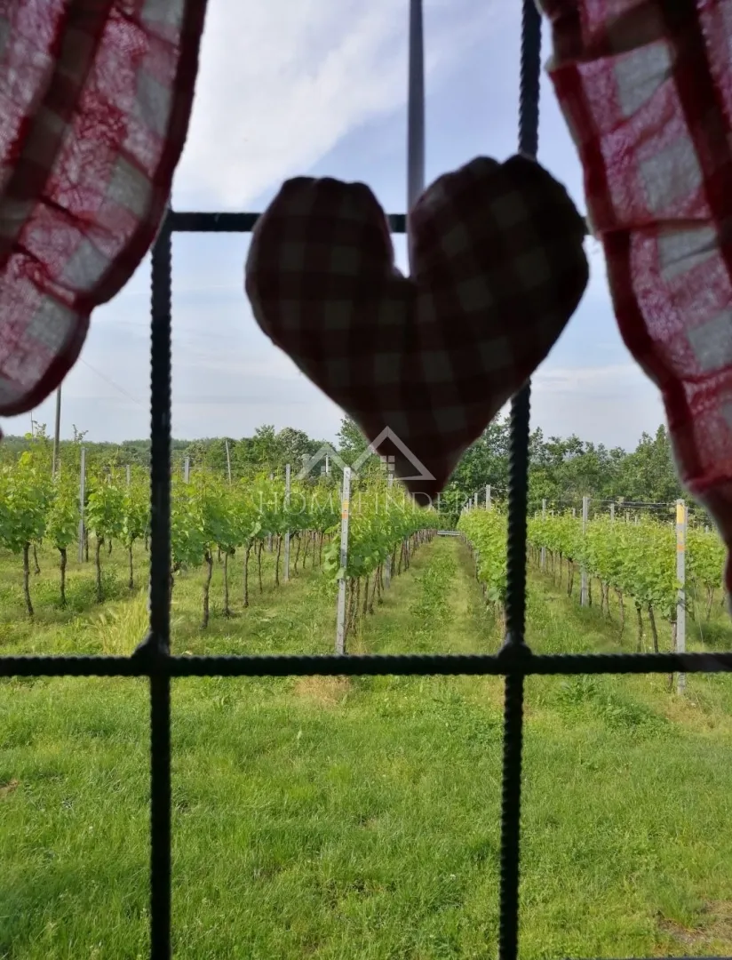 klijet i vinograd, 34m2, gornja gračenica, - slika 8