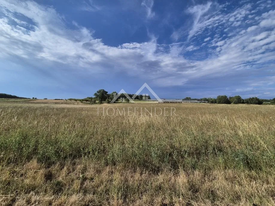 prostrano poljoprivredno zemljište, kaštelir, 32619m² - slika 3