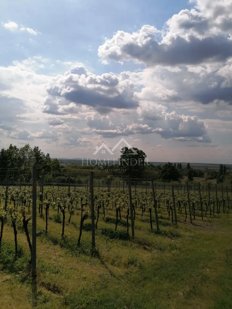 klijet i vinograd, 34m2, gornja gračenica, - slika 15