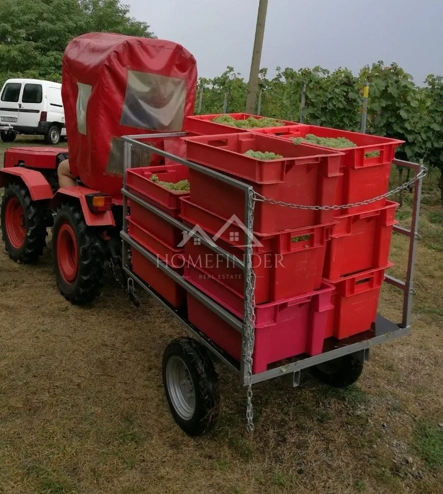 klijet i vinograd, 34m2, gornja gračenica, - slika 19