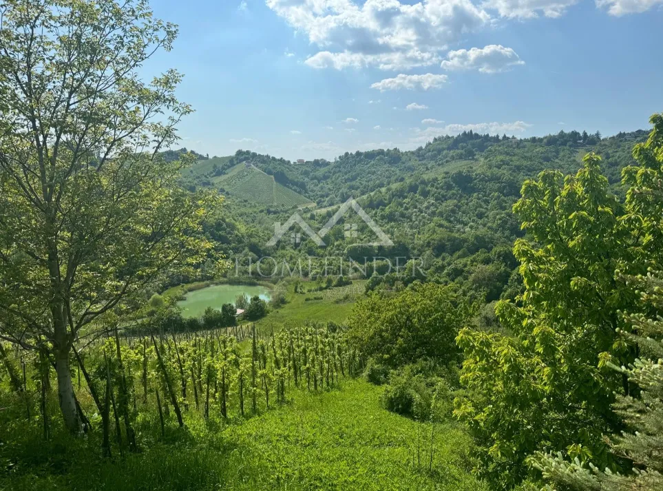 kuća , plešivica, zagrebačka županija - slika 3