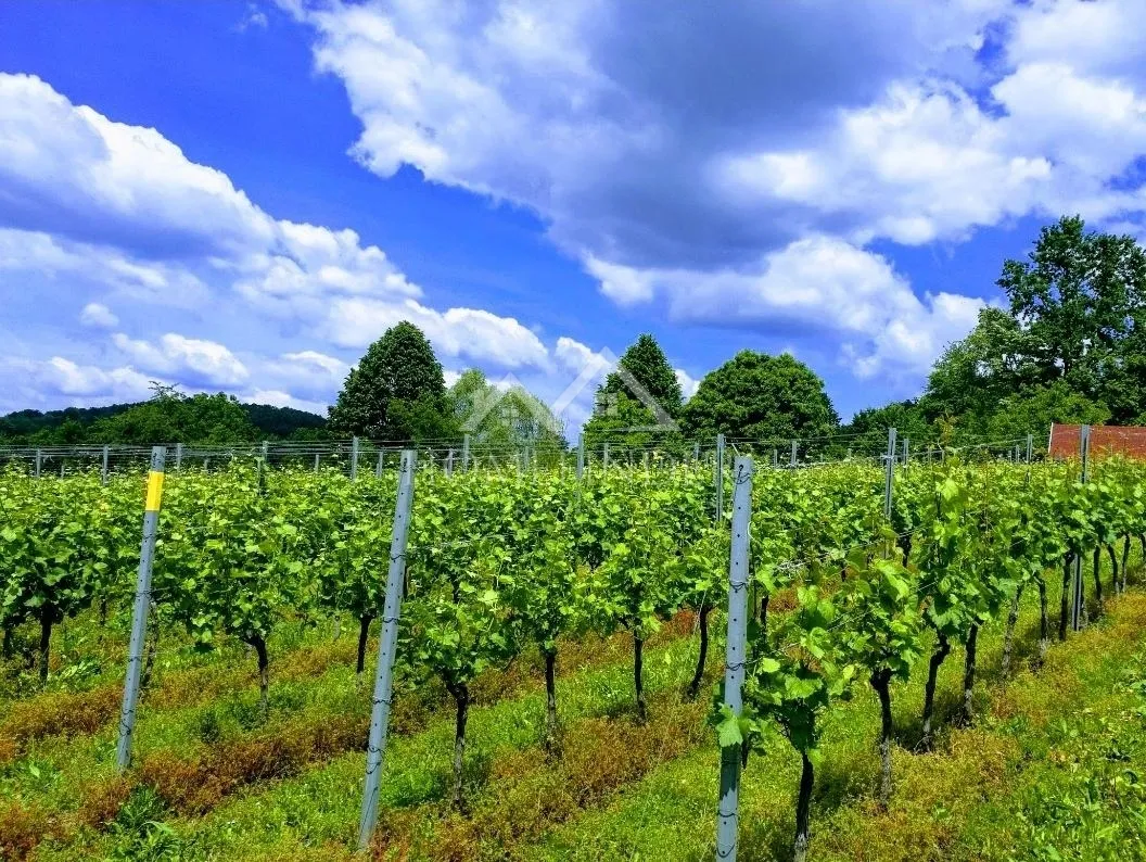 klijet i vinograd, 34m2, gornja gračenica, - slika 14
