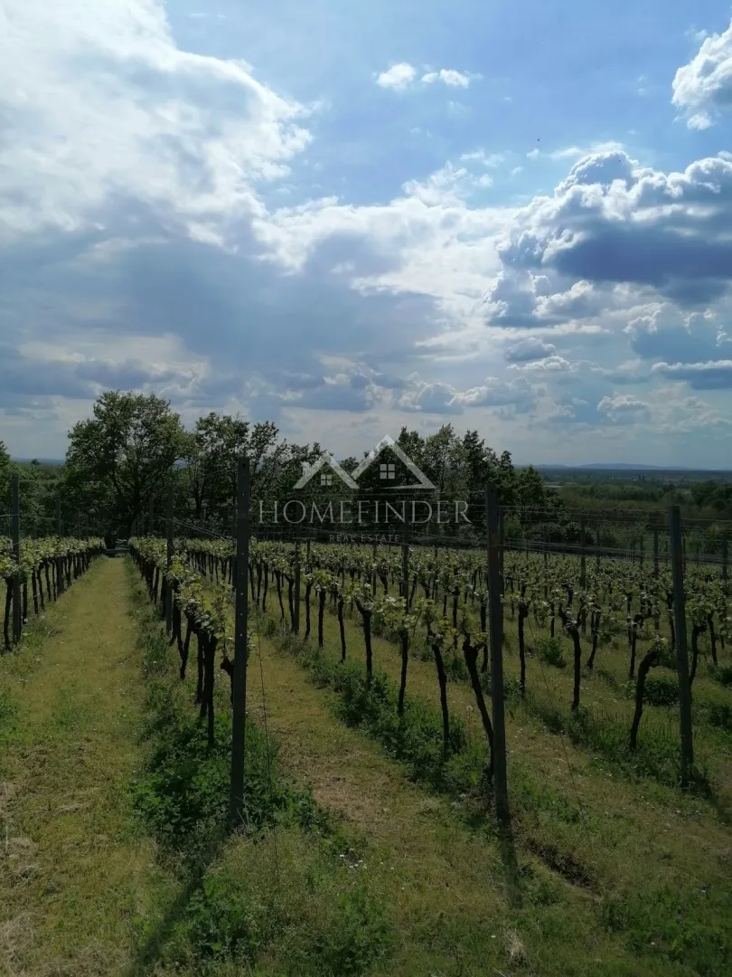 klijet i vinograd, 34m2, gornja gračenica, - slika 16