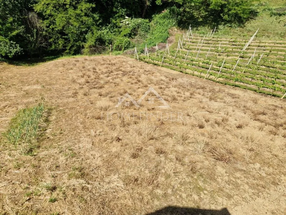 klet/kuća sa zemljištem, 44m2 + 471m2,poznanovec, zagorje - slika 19
