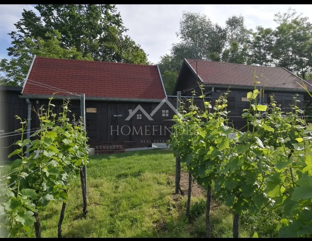 klijet i vinograd, 34m2, gornja gračenica, - slika 2