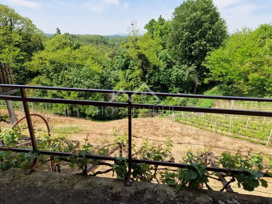 klet/kuća sa zemljištem, 44m2 + 471m2,poznanovec, zagorje - slika 18
