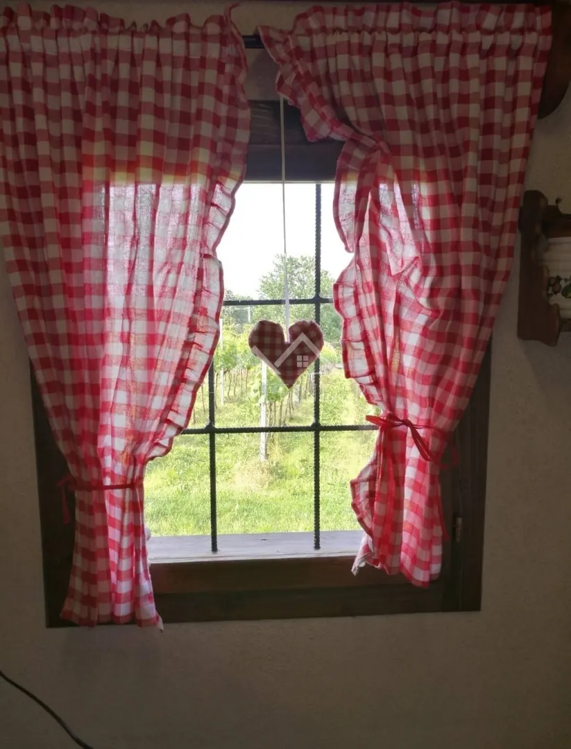 klijet i vinograd, 34m2, gornja gračenica, - slika 6