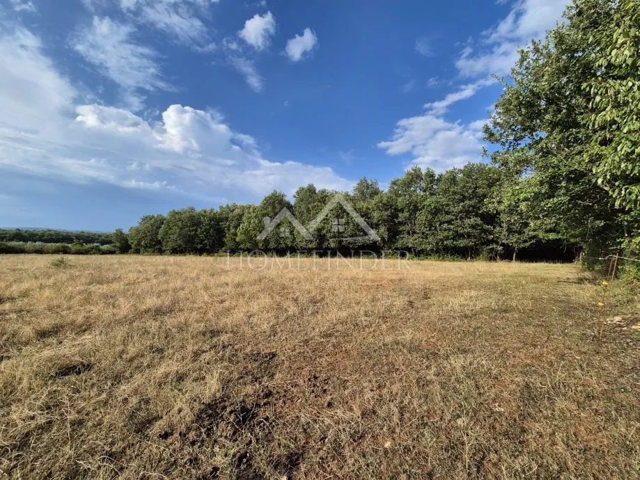 prostrano poljoprivredno zemljište, kaštelir, 24118m² - slika 5
