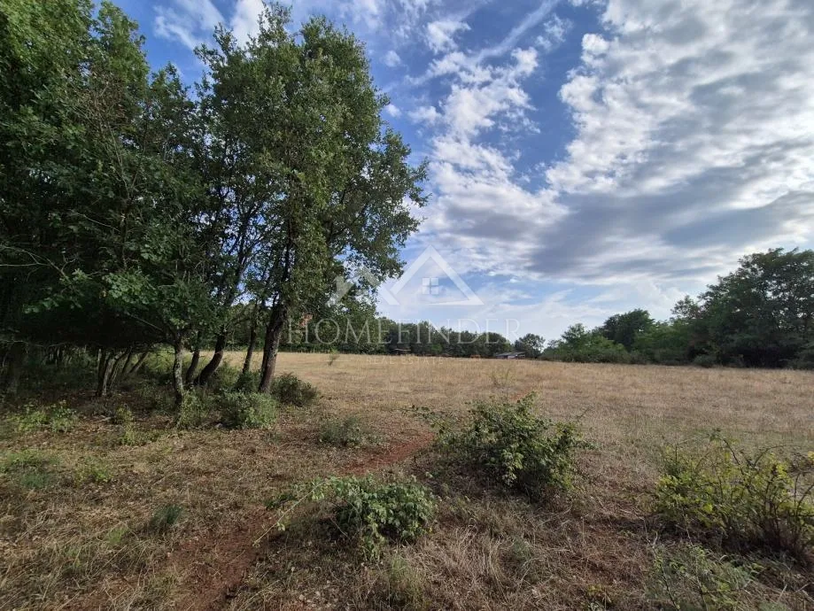 prostrano poljoprivredno zemljište, kaštelir, 24118m² - slika 7