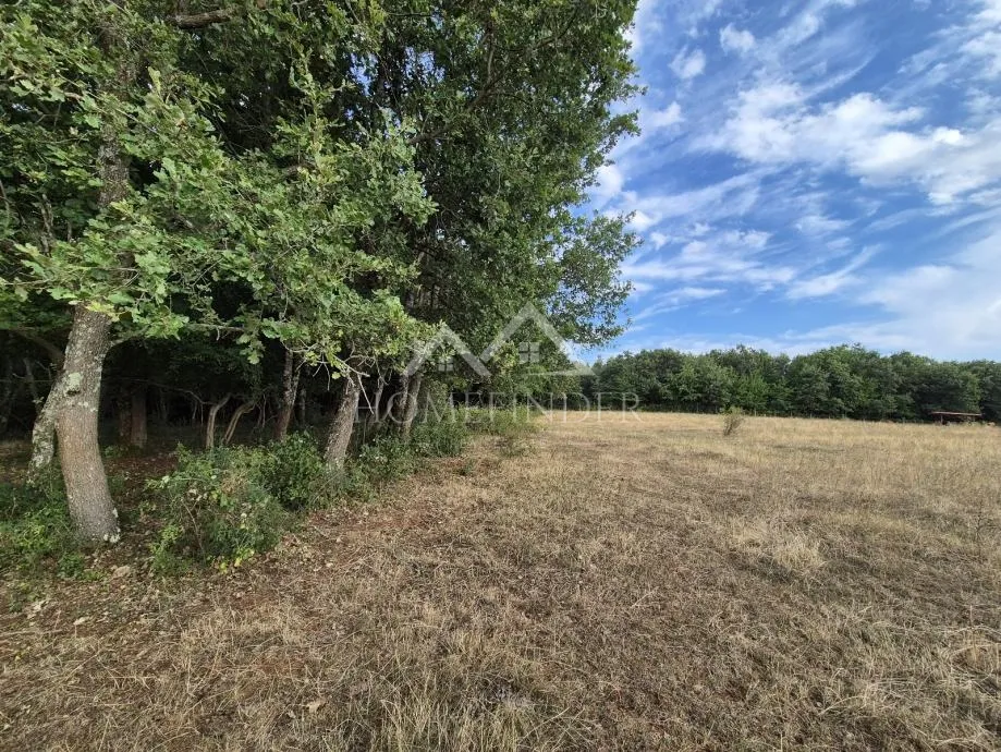 prostrano poljoprivredno zemljište, kaštelir, 24118m² - slika 9