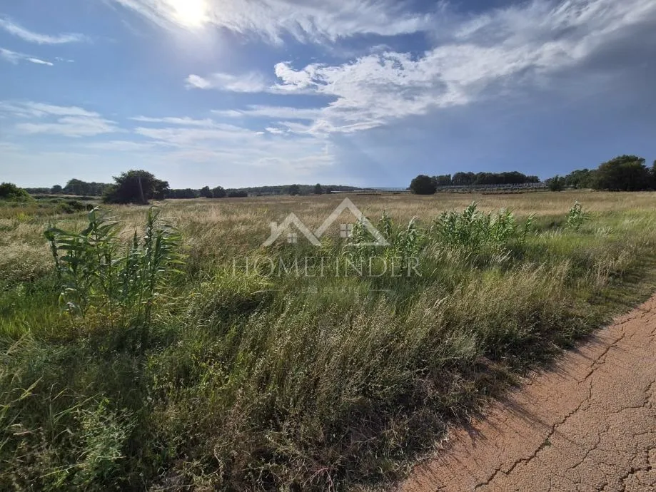prostrano poljoprivredno zemljište, kaštelir, 32619m² - slika 6