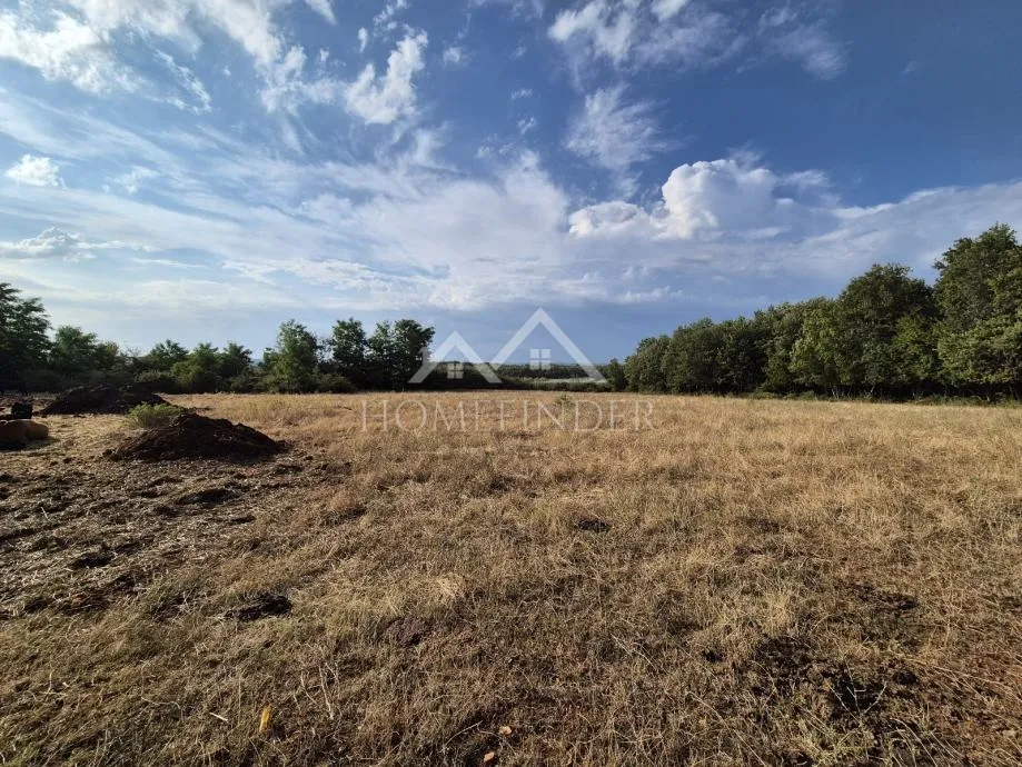 prostrano poljoprivredno zemljište, kaštelir, 24118m² - slika 4