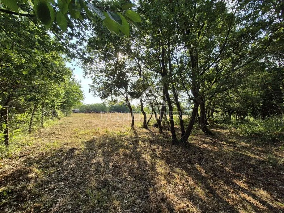 prostrano poljoprivredno zemljište, kaštelir, 24118m² - slika 2