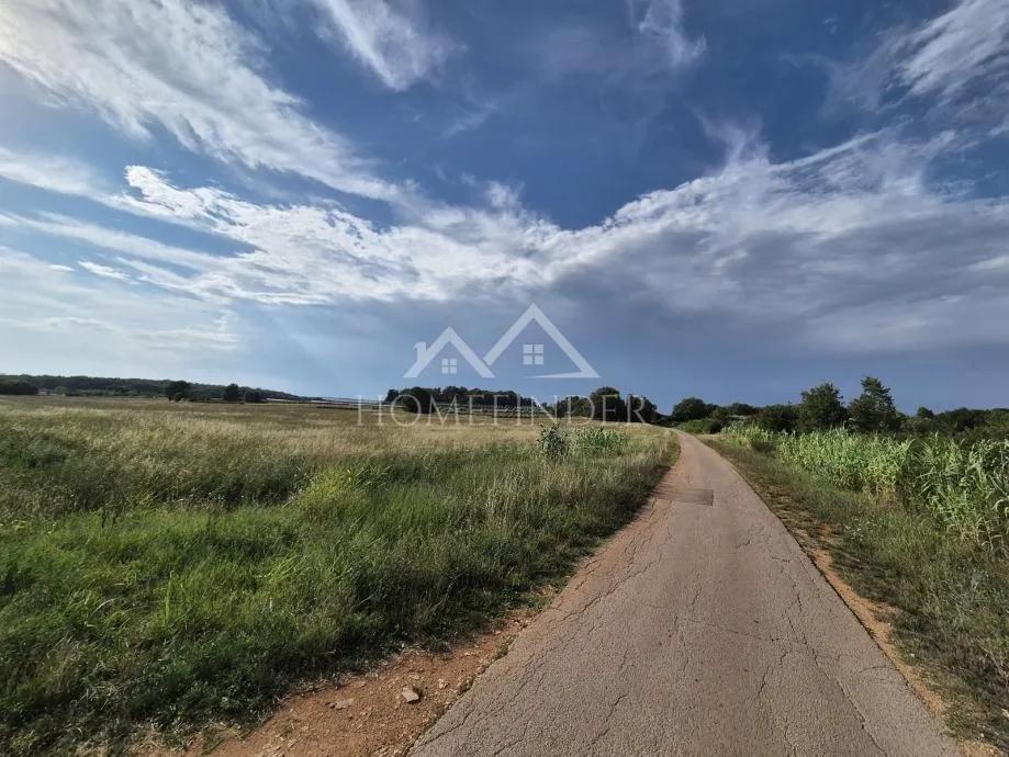 prostrano poljoprivredno zemljište, kaštelir, 32619m² - slika 2
