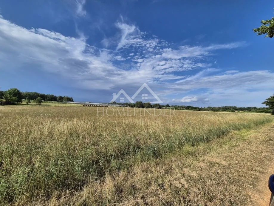 prostrano poljoprivredno zemljište, kaštelir, 32619m² - slika 7