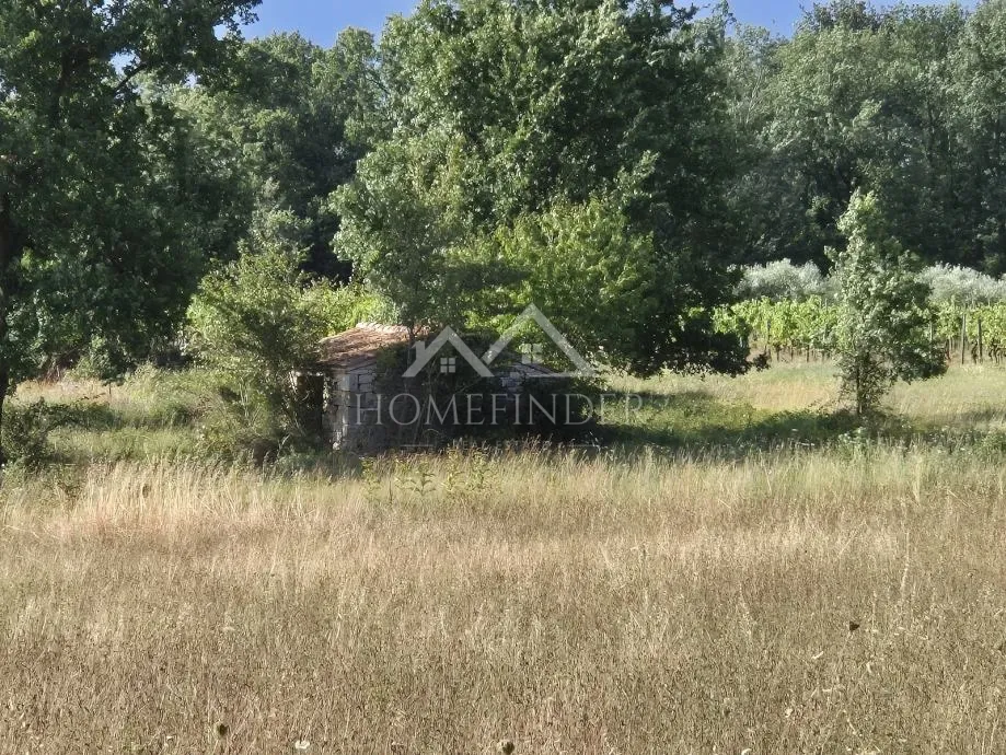 prostrano poljoprivredno zemljište, kaštelir, 32619m² - slika 5