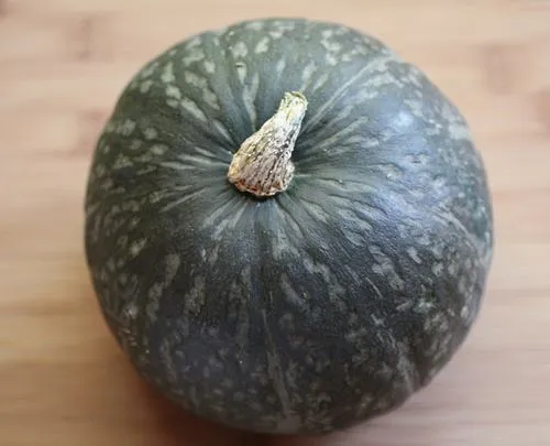 kabocha tikva novo - slika 3