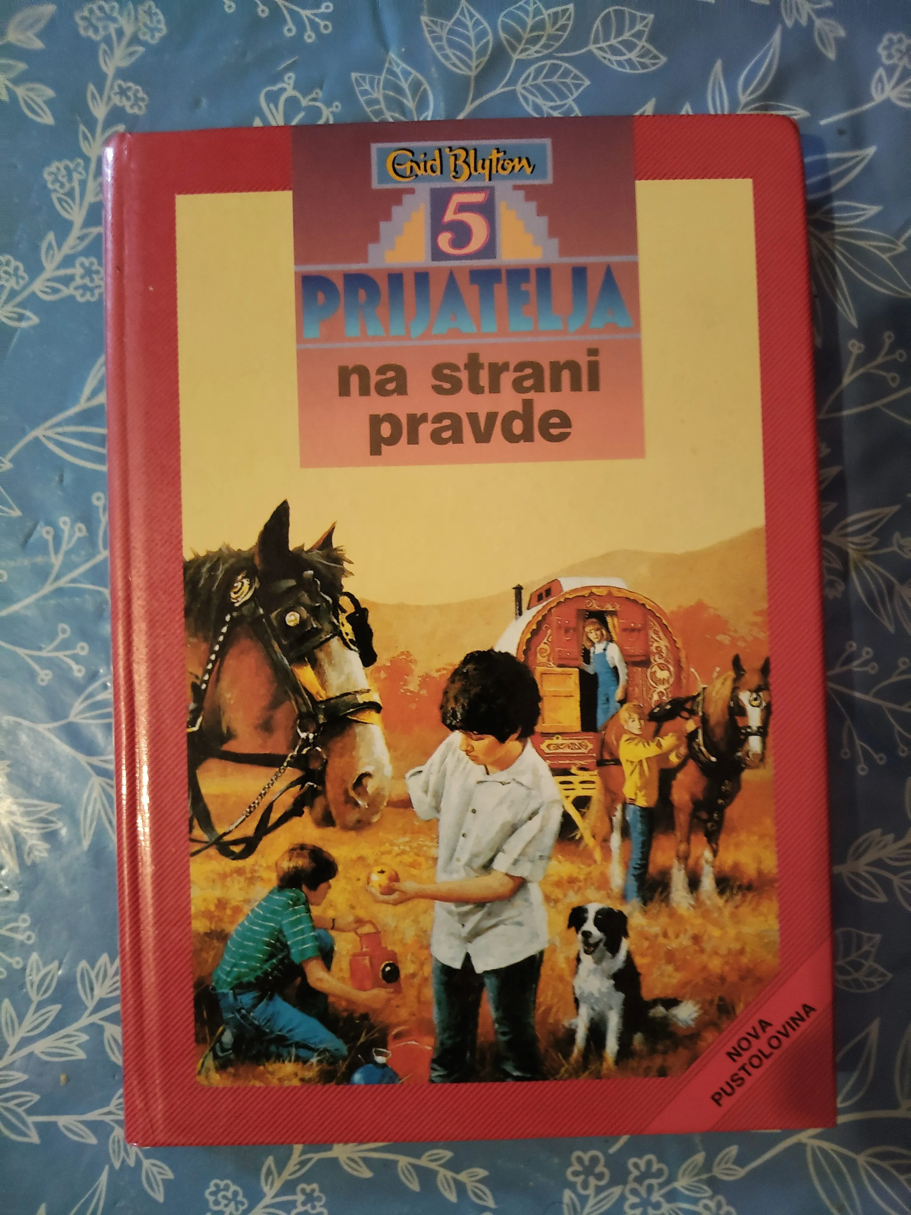 Enid Blyton – 5 prijatelja na strani pravde - Zagreb