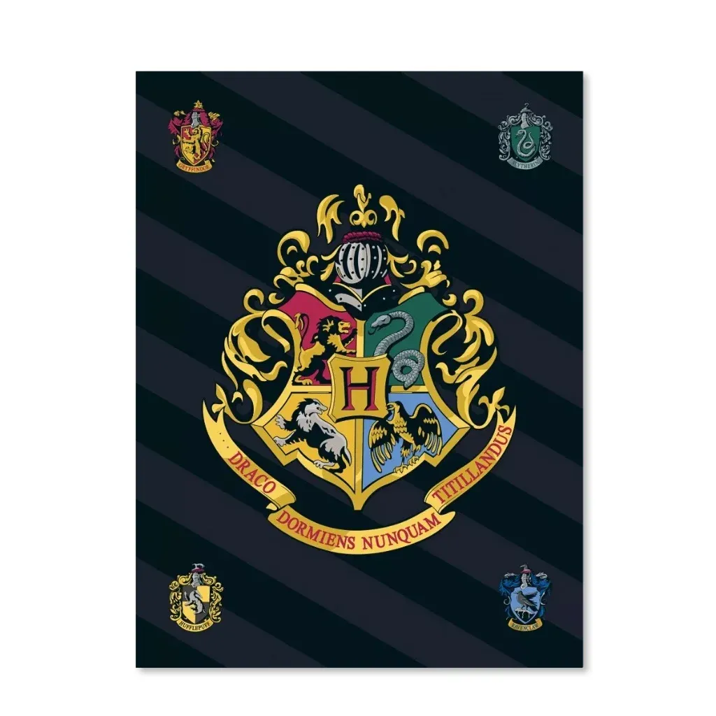 Harry Potter ‘Hogwarts Crest’ deka, 100×140 cm - Zagreb