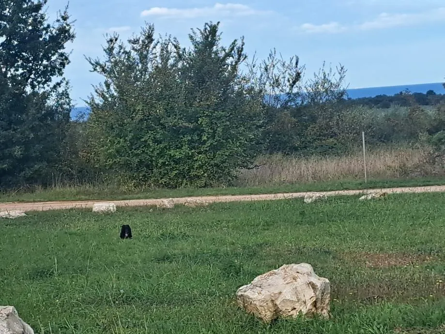 poreč-zemljište za gradnju mini hotela - slika 9