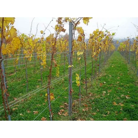 Redni stup za vinograd-v 2200 mm - Čakovec