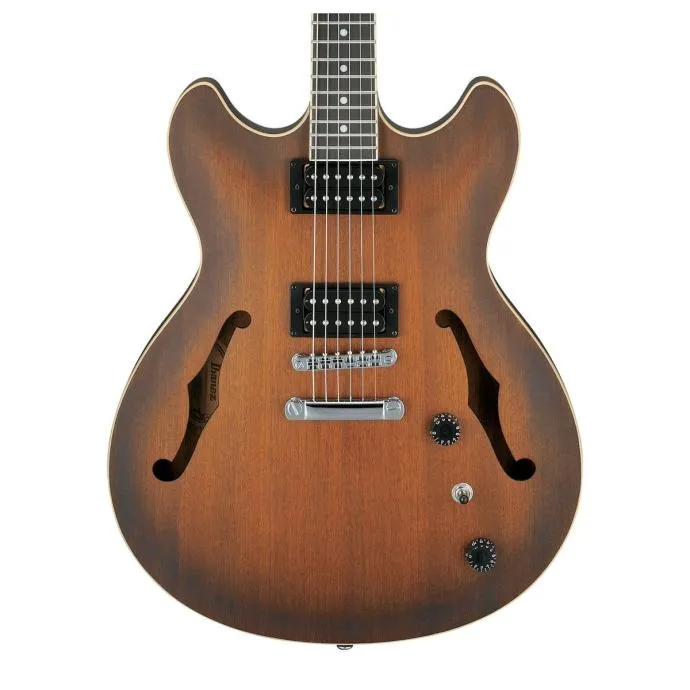 ibanez as53 tf - slika 3