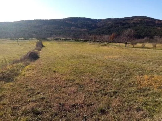 istra građevinsko zemljište u srcu prirode - slika 2