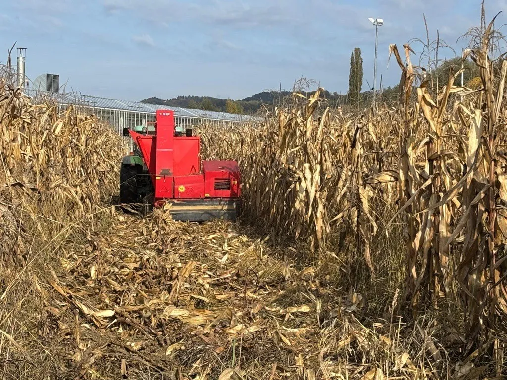 berač kukuruza sip tornado 40 - slika 2