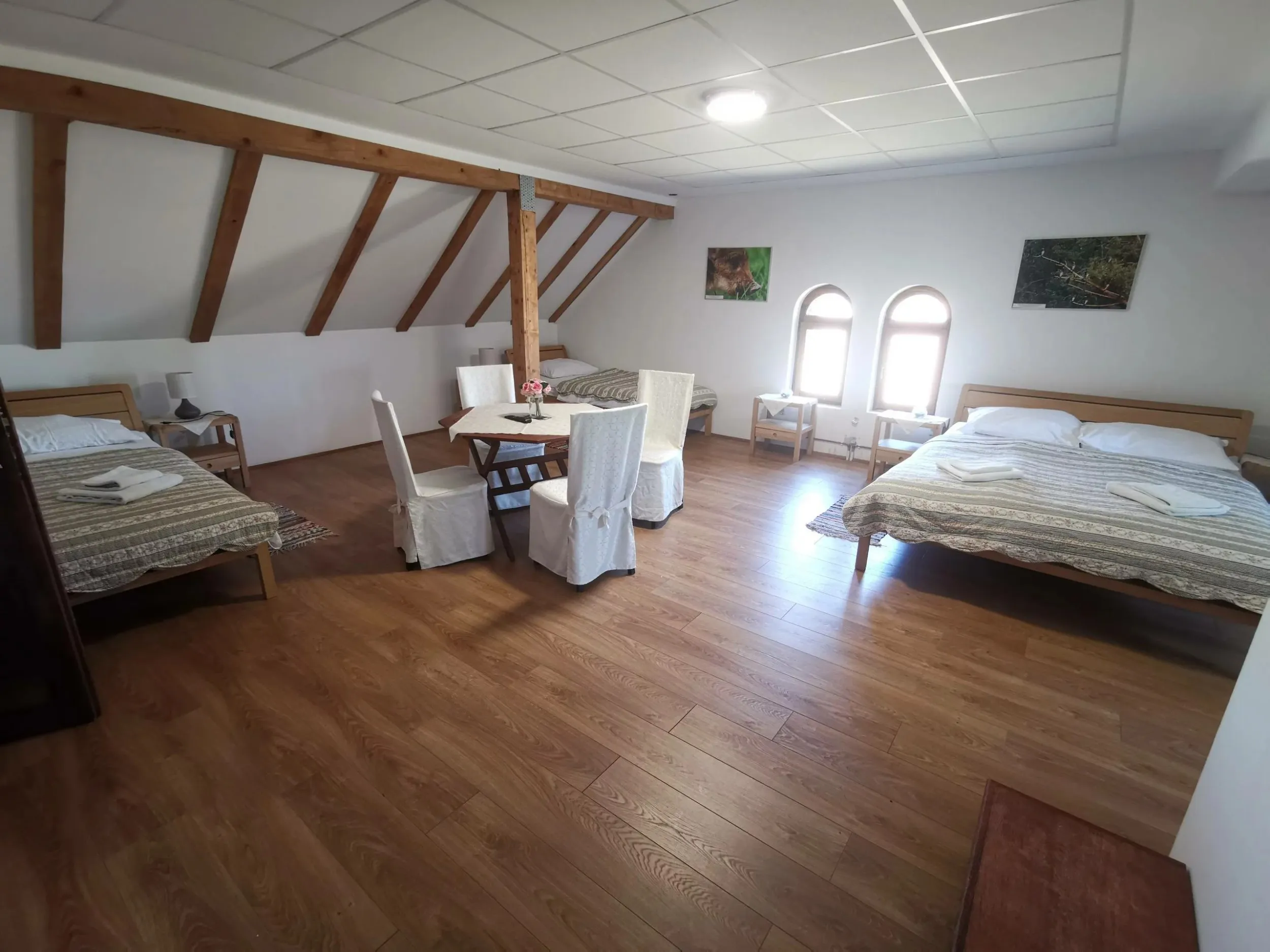 Depandansa hotel Višnjica - Višnjica, Sopje