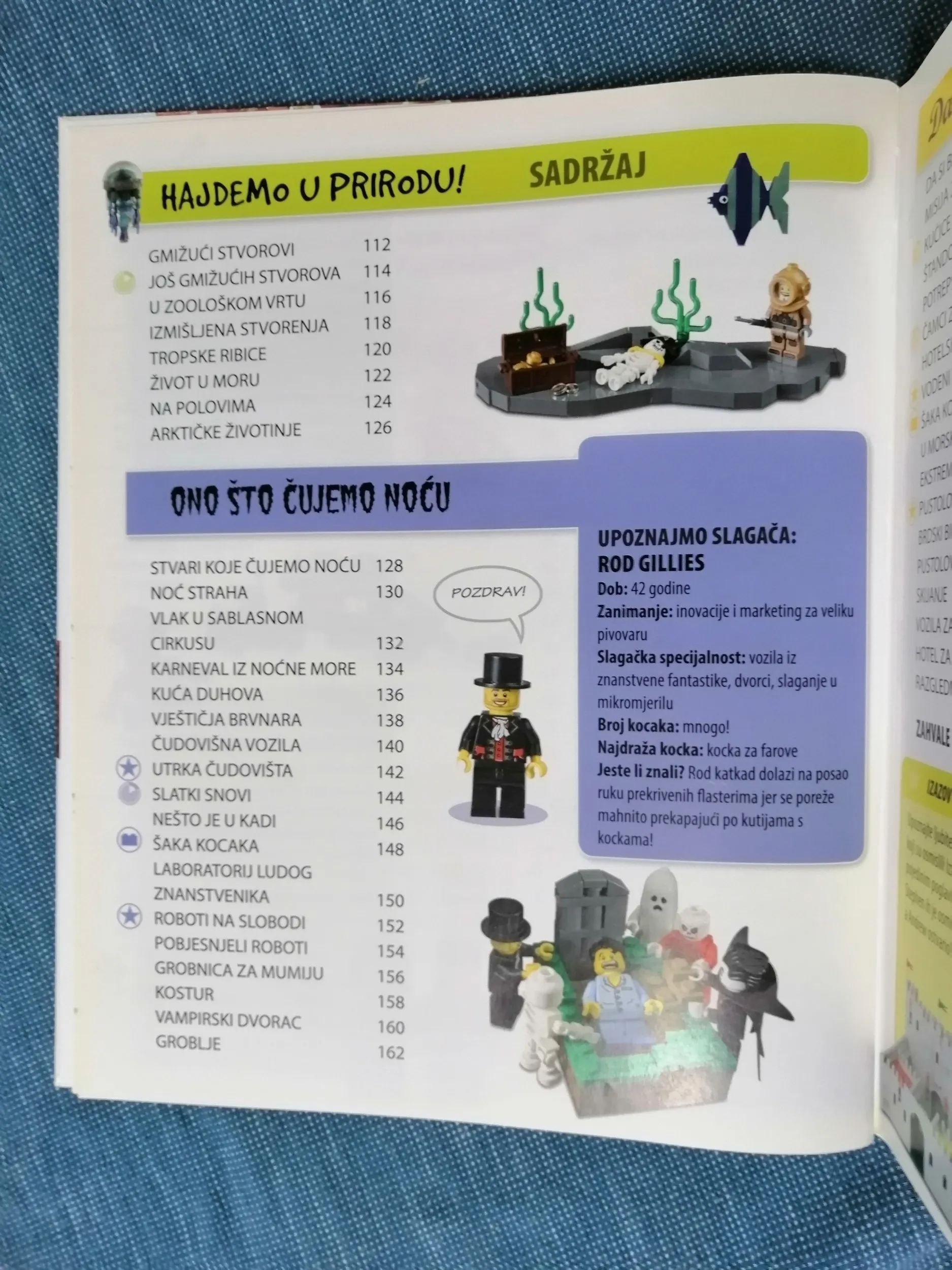 daniel lipkowitz – igraonica kocaka lego - slika 6