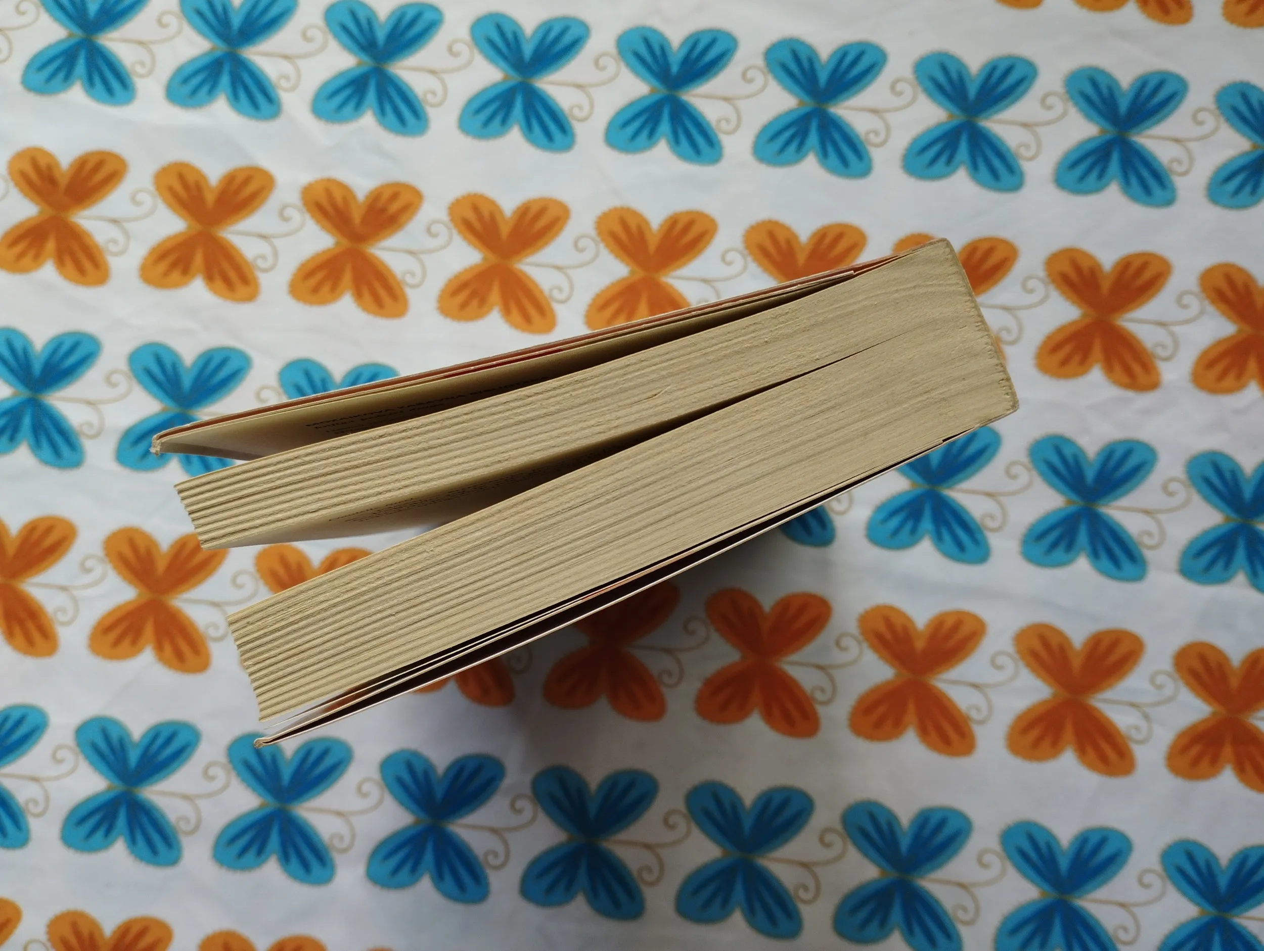 danielle steel - krila - slika 4
