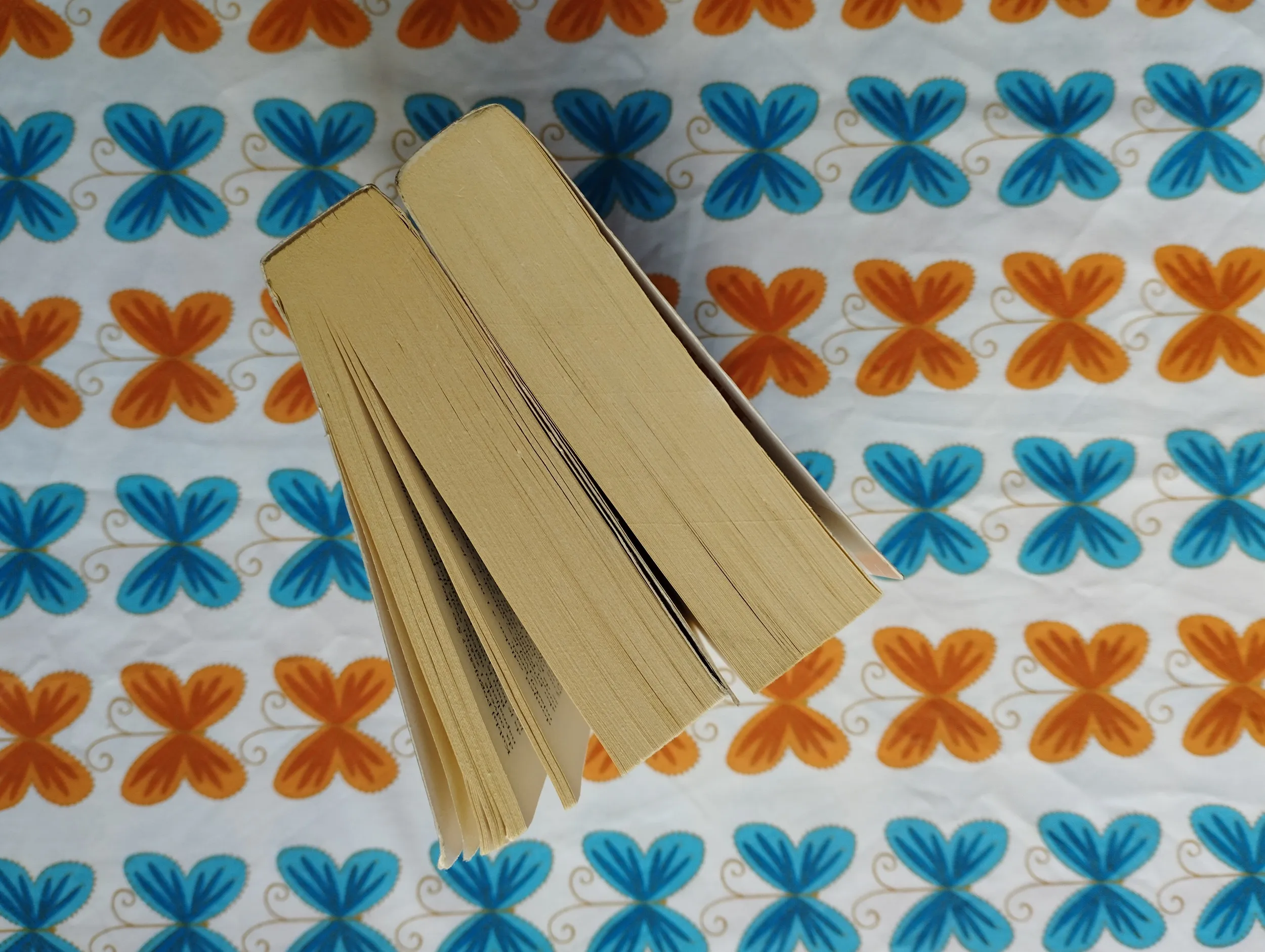conn iggulden - vuk sa stepe, osvajač - slika 4
