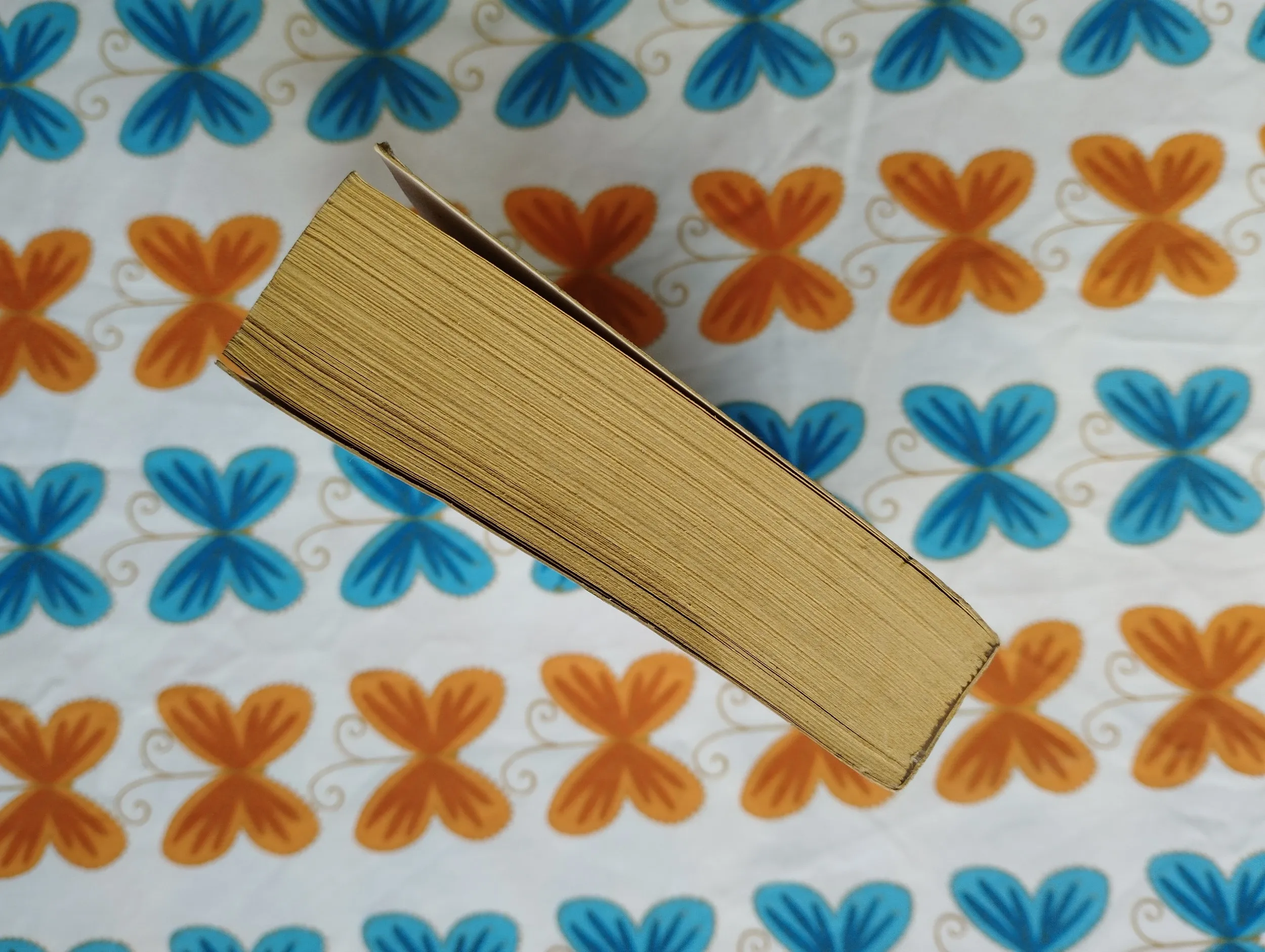 richard awlinson - tantras avatar trilogija - knjiga druga - slika 4