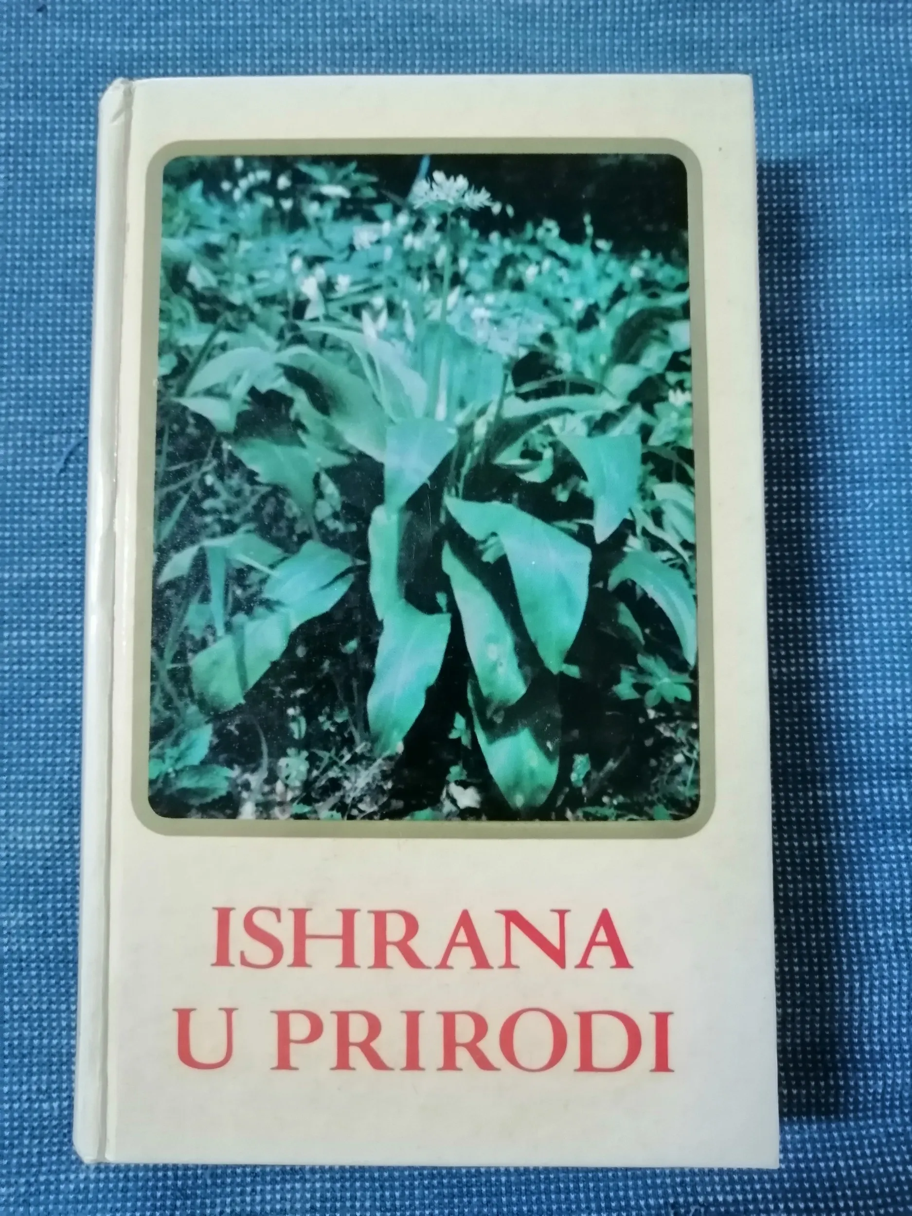 ishrana u prirodi - slika 1